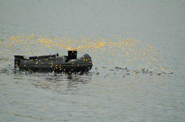 diverse - 578846101512940088918761509946354n.jpg